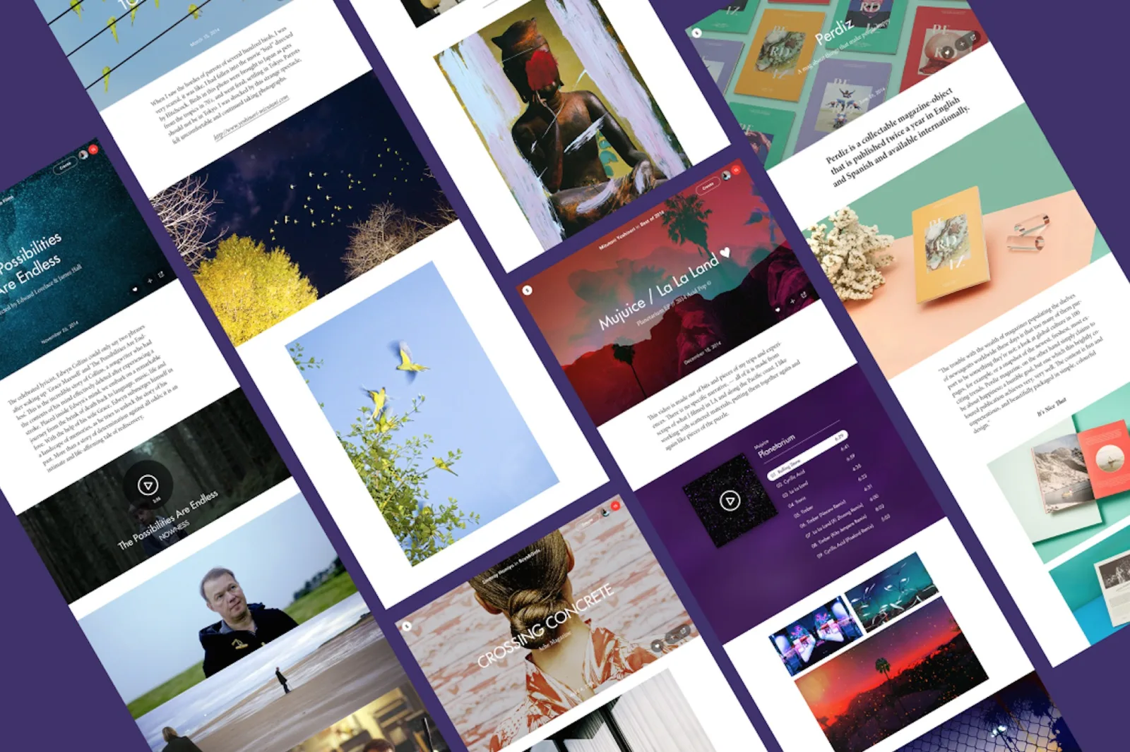 Angled collage of story pages with photos, video and text layouts on a purple background.