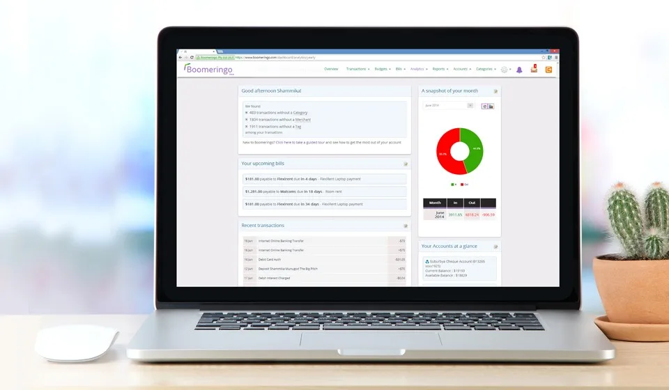 Laptop on a desk beside a cactus, showing a web app with a donut chart.