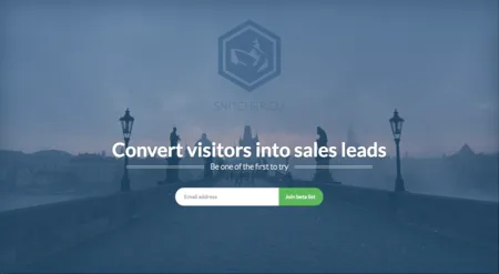 Landing page 'Convert visitors into sales leads' over a foggy bridge photo.