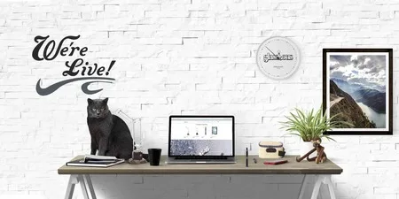 'We're Live!' graphic of a cat, laptop and wall clock against a white brick wall.