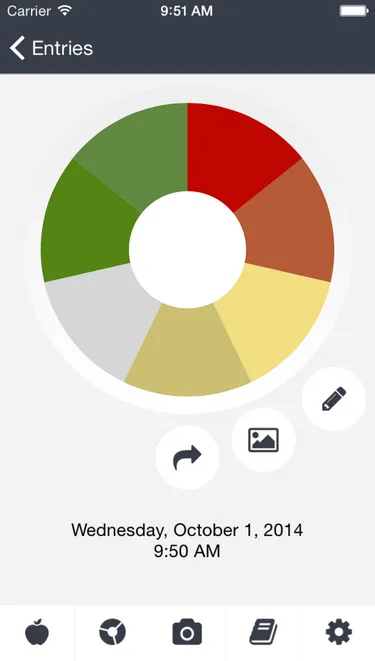 Phone screen 'Entries' with a coloured segment wheel chart and a date.