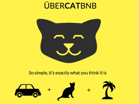 Yellow graphic 'ÜBERCATBNB' with a cat face and car, cat and palm tree icons.