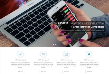 BizGroth theme demo with a hand holding a phone over a laptop and 'Web Services' icons.