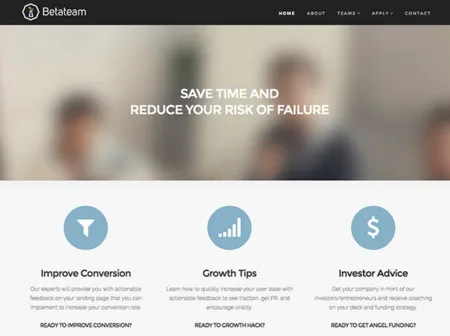 Betateam hero 'Save time and reduce your risk of failure' with three service icons.