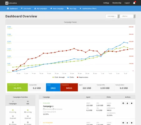 Campaign dashboard overview with a multi-line chart, summary stats and a campaign table.